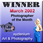 Banner by Digital Willy